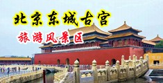 亚州肉肉网中国北京-东城古宫旅游风景区